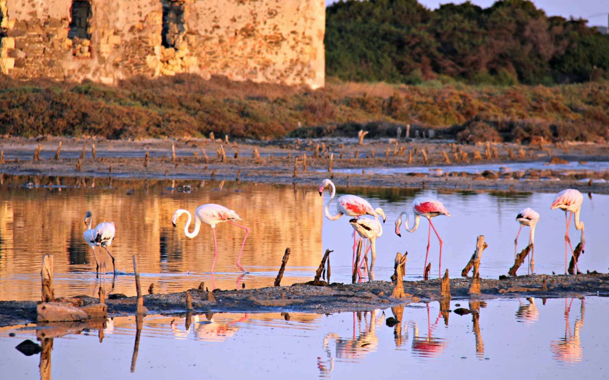 Historic Cagliari Walking Tour
